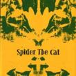 Spider The Cat