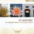Osho In Wonder