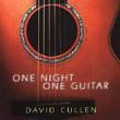 One Night One Guitar