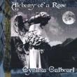 Alchemy Of A Rose