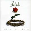 Rose Of Bethlehem