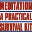 Meditation: A Practical Survival Kit
