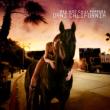 Dani California: 3tracks