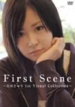 First Scene `c 1st Visual Collection`
