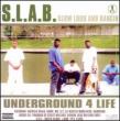 S.l.a.b.: Vol.1