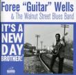 Walnut Street Blues Band: It' sa New Day Brother