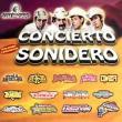 Concierto Sonidero