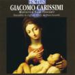 Mottetti E Sacri Concerti: Ceccarelli / Ensemble Il Cantar Novo