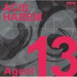 Agent 13