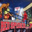 Red Spider Mix: #7