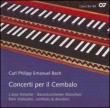 Harpsichord Concertos: Voskuilen(Cemb)/ L' arpa Festante