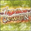 Camaleon