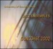 Suncoast 2002