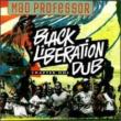 Black Liberation Dub 1