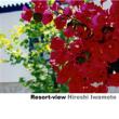 Resort-view
