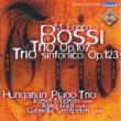 Piano Trio, Trio Sinfonico: Hungarian Piano Trio