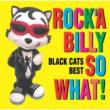 Colezorock`a Billy So What! Black Cats Best