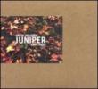Juniper
