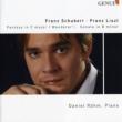Piano Sonata / Wanderer-fantasie, Etc: Rohm