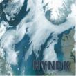 Nyndk