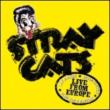 Stray Cats Live In Turku 10 / 07 / 04