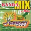 Banda Mix Y Mas