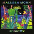 Malimba Moon