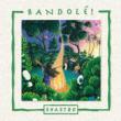 Bandole