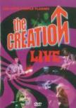 Red With Purple Flashes -Thecreation Live