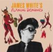 James White' s Flaming Demonics
