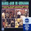 Blues Jam In Chicago Vol 1