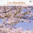 Lira Mandolino