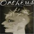 Orpheus The Lowdown
