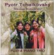 Piano Trio: Fujita Piano Trio +n.rubinstein: Piano Pieces
