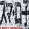 Punk Festival Ii