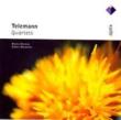 Quartets, Etc: Andres Mustonen / Hortus Musicus