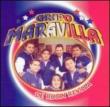 Grupo Maravilla