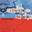 Stroking The Moon