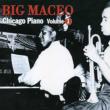 Worried Life Blues -Chicago Piano Volume 1