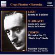 Piano Sonata: Horowitz +d.scarlatti, Haydn, Chopin, Debussy, Stravinsky, Etc