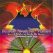 Sacred Medicine Guide Us Home