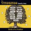Yardbird Family Tree: Birds Of A Feather
