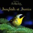 Songbirds At Sunrise