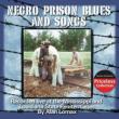 Southern Prison Blues & Songs