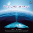 Last Whale