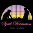 Synth Destruction