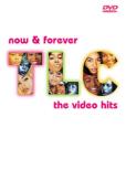 Now & Forever: The Video Hits