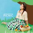 Picnic