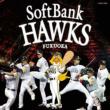 2007 Fukuoka Softbank Hawks