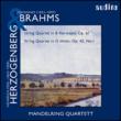 String Quartet Op.42-1: Mandelring Q +brahms: Quartet.3
